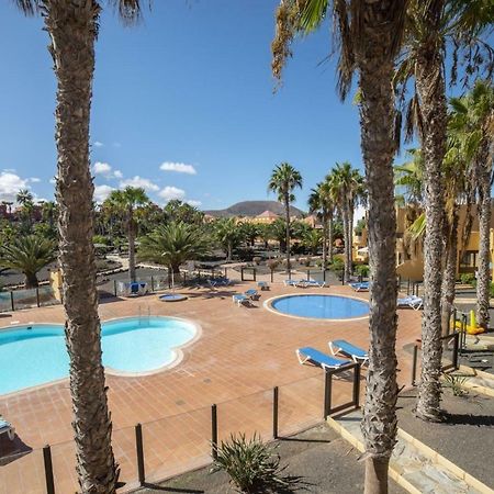 Lightbooking Oasis Royal Corralejo F311 Eksteriør billede