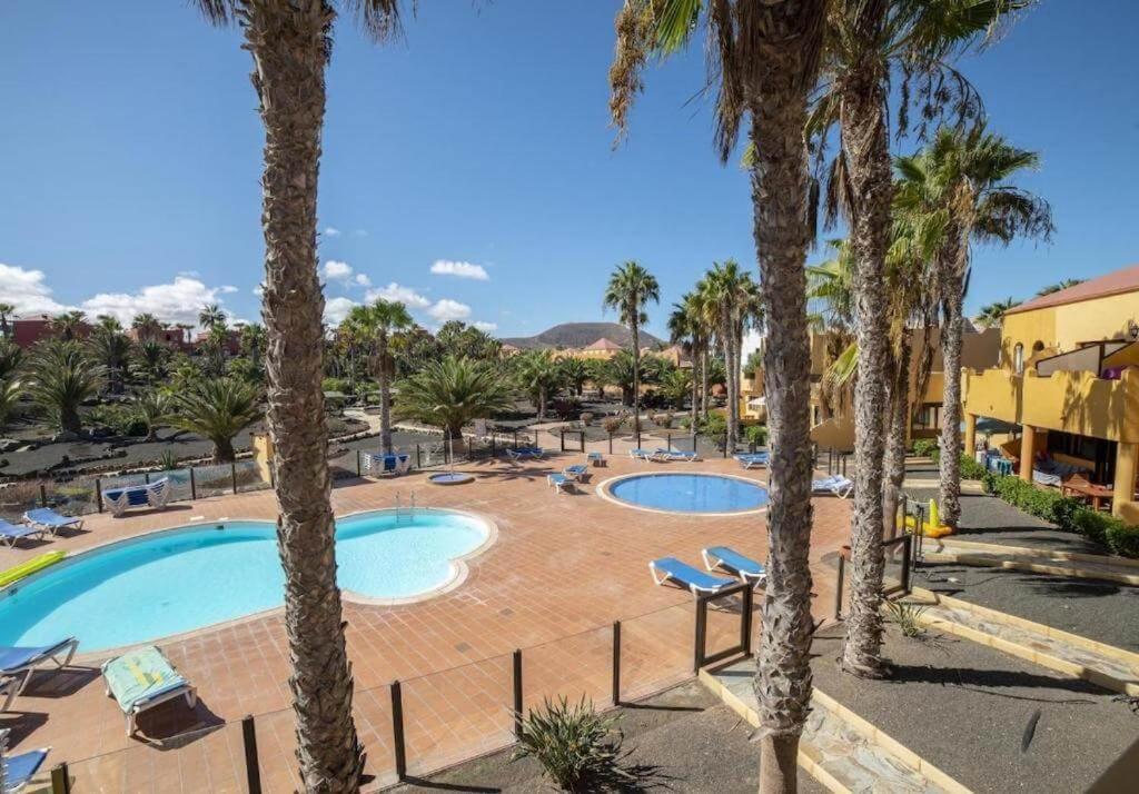 Lightbooking Oasis Royal Corralejo F311 Eksteriør billede