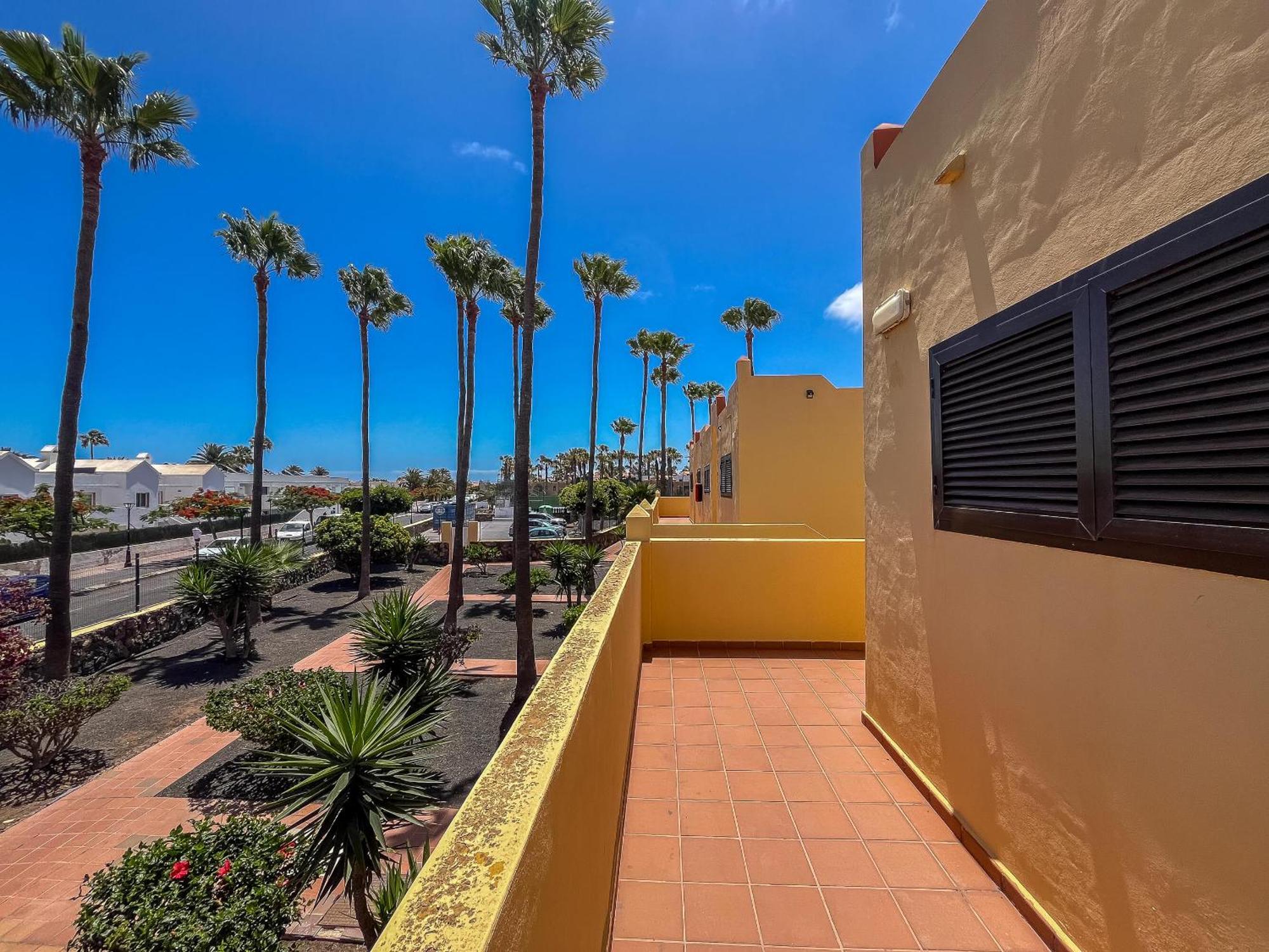 Lightbooking Oasis Royal Corralejo F311 Eksteriør billede